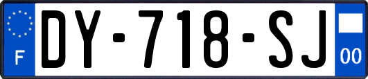 DY-718-SJ