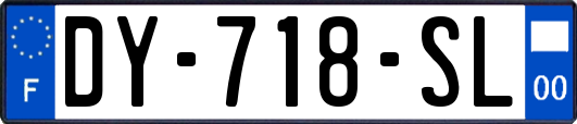 DY-718-SL