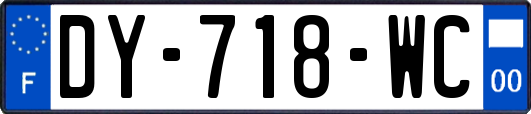 DY-718-WC