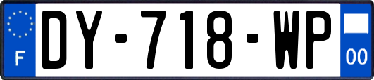 DY-718-WP