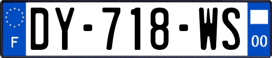 DY-718-WS