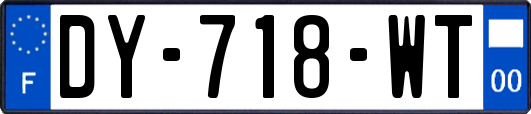 DY-718-WT