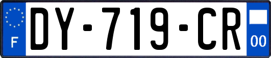 DY-719-CR