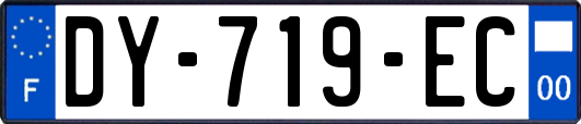 DY-719-EC