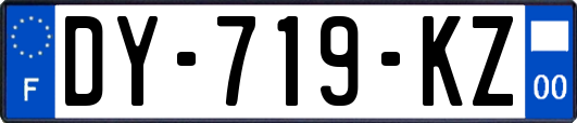 DY-719-KZ