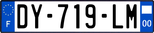 DY-719-LM