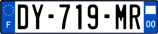 DY-719-MR