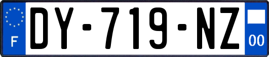 DY-719-NZ