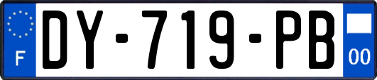 DY-719-PB