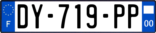 DY-719-PP