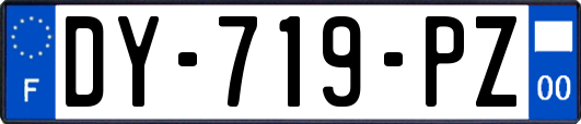 DY-719-PZ