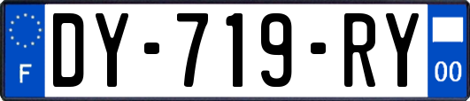 DY-719-RY