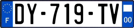 DY-719-TV