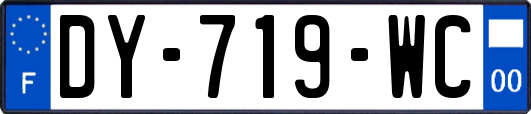 DY-719-WC