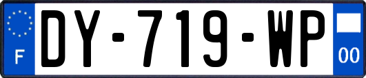 DY-719-WP