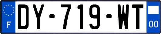 DY-719-WT