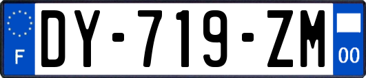 DY-719-ZM