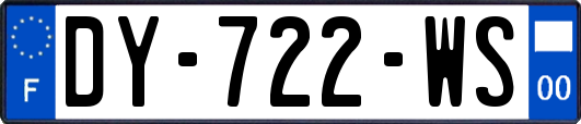 DY-722-WS