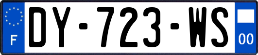 DY-723-WS