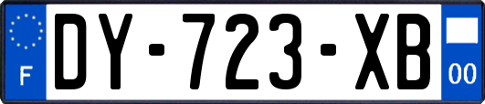 DY-723-XB