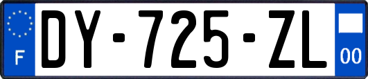 DY-725-ZL