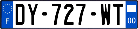 DY-727-WT