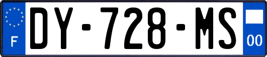 DY-728-MS