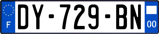 DY-729-BN