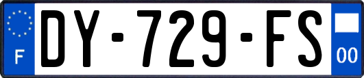 DY-729-FS