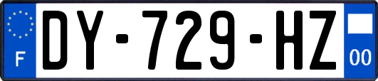 DY-729-HZ