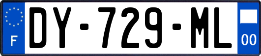 DY-729-ML