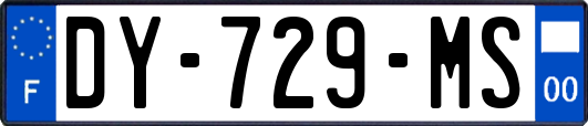 DY-729-MS