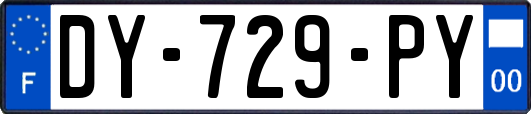 DY-729-PY