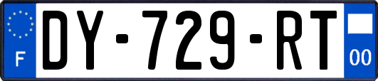 DY-729-RT