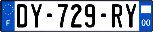 DY-729-RY