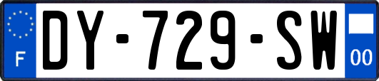 DY-729-SW