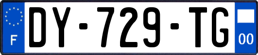 DY-729-TG