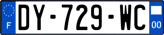 DY-729-WC