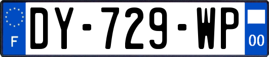 DY-729-WP