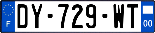 DY-729-WT