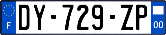 DY-729-ZP