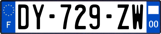 DY-729-ZW