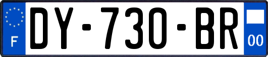 DY-730-BR