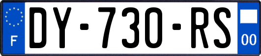 DY-730-RS