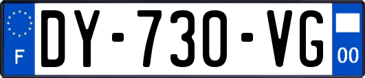 DY-730-VG