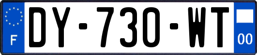 DY-730-WT