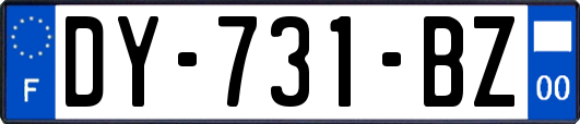 DY-731-BZ