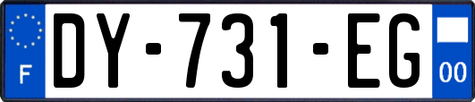 DY-731-EG
