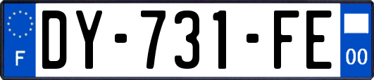 DY-731-FE