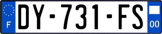 DY-731-FS